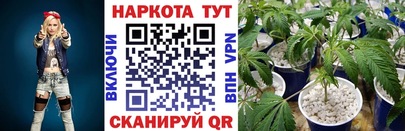 Все наркотики Жигулёвск COCAIN OMG сайт Alpha PVP Бошки Шишки ГАШ МЕФ