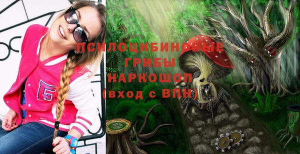 индика Белоозёрский