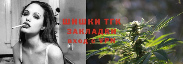 индика Белоозёрский