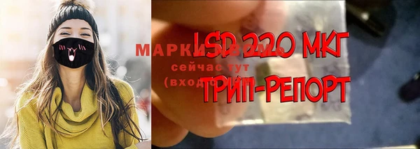 индика Белоозёрский