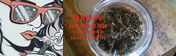 индика Белоозёрский